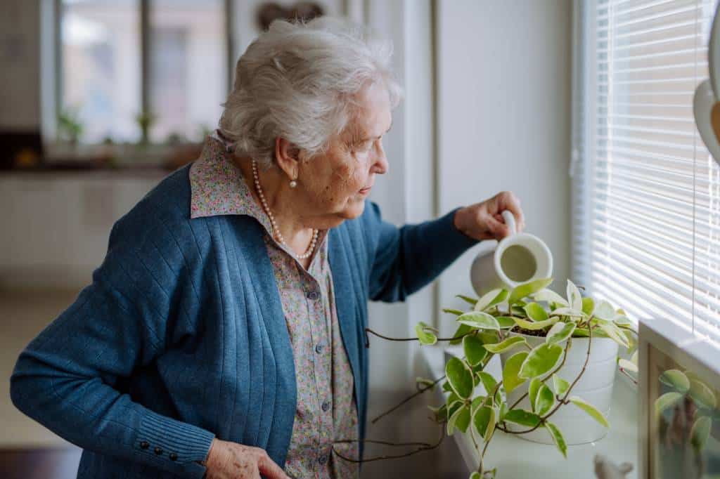 senior à domicile téléassistance télésurveillance